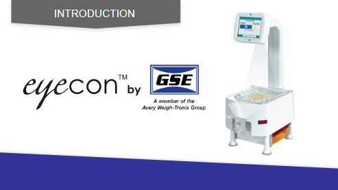 Eyecon&reg;: Visual Precision Counting