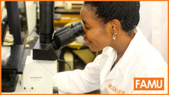 PharmD Careers | Clinical 